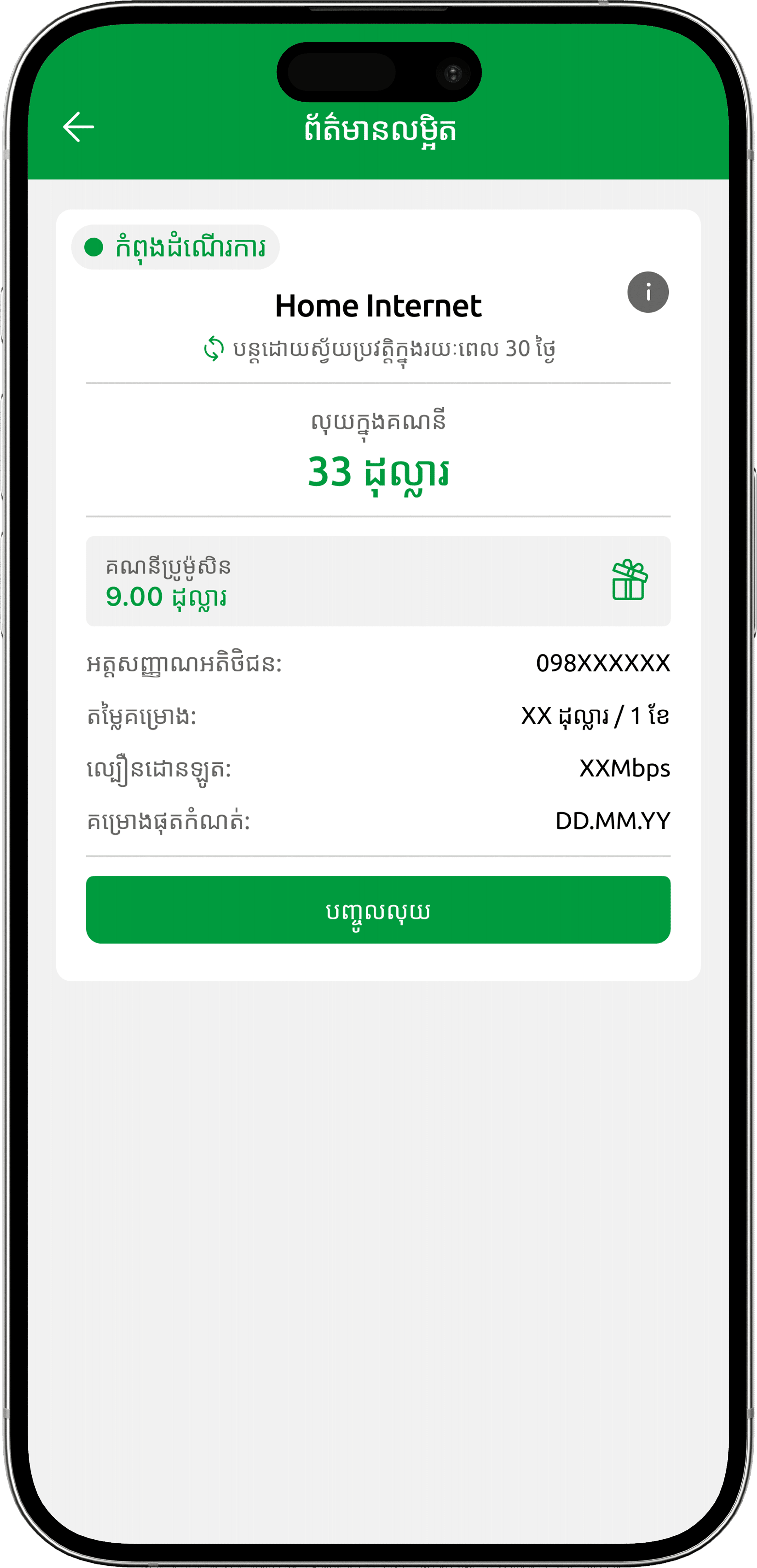 To check your Promo balance