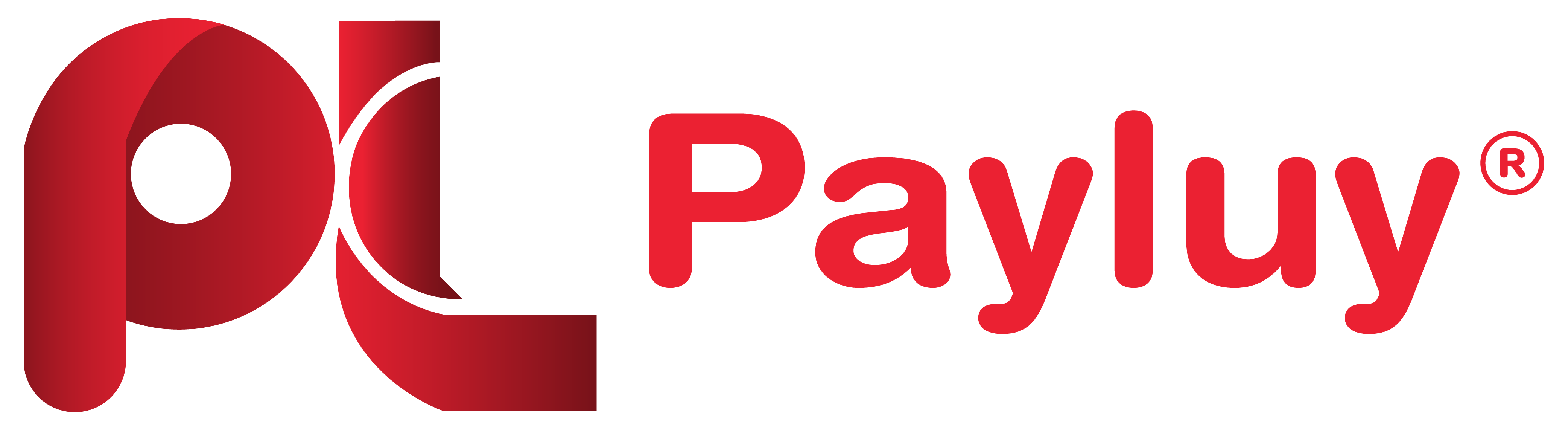 Pi-Pay