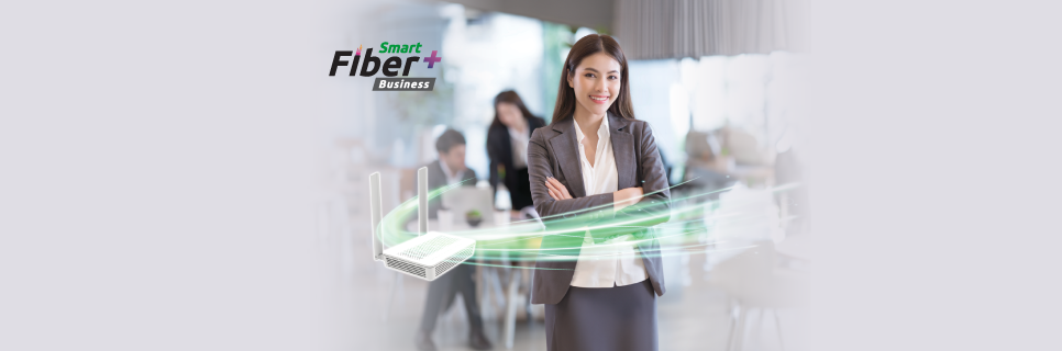 Image for Smart Fiber Enterprise